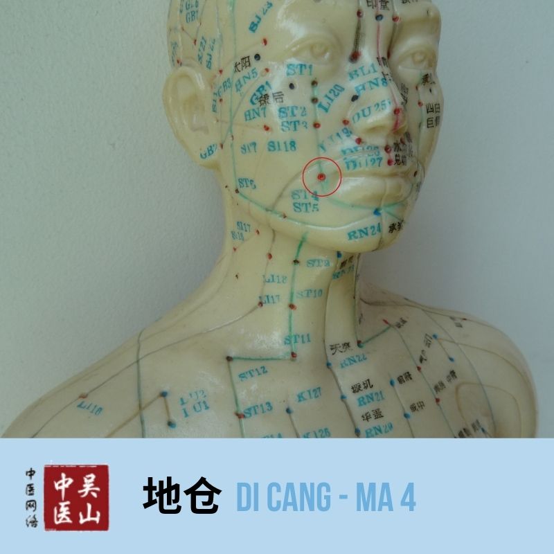 Di Cang - Magen 4