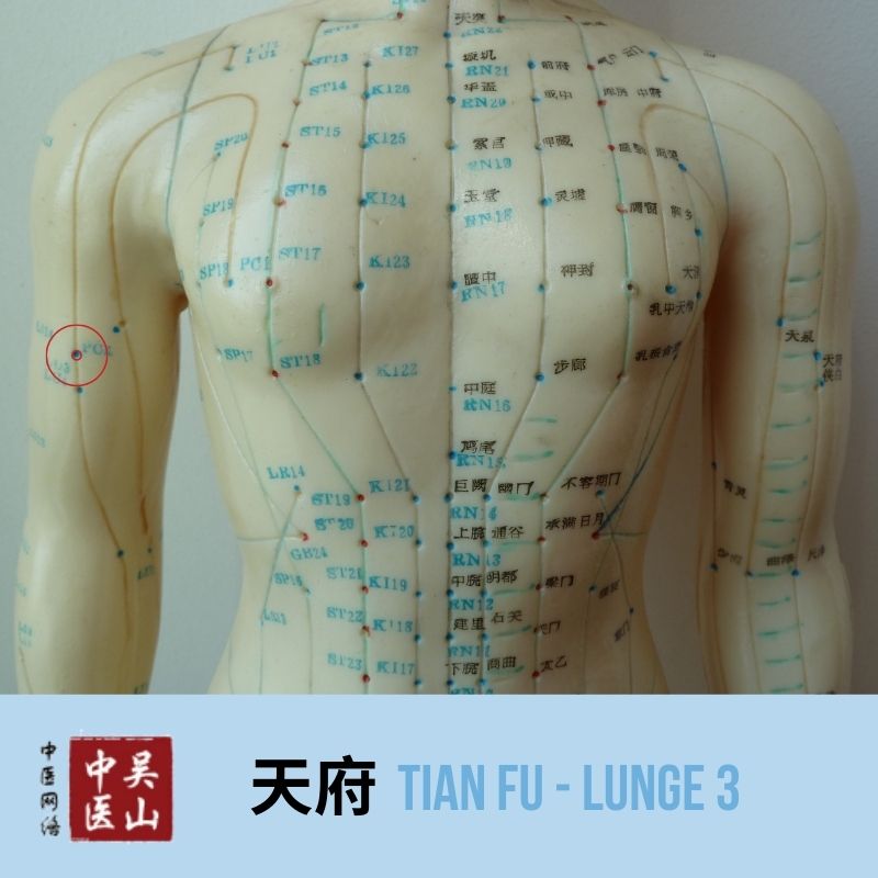 Tian Fu - Lunge 3