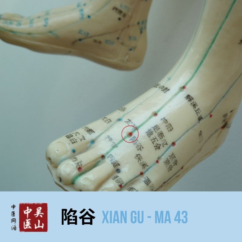 Xian Gu - Magen 43
