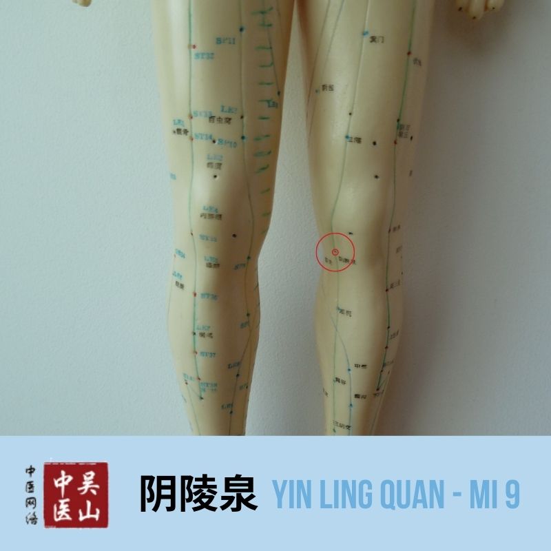 Yin Ling Quan - Milz 9
