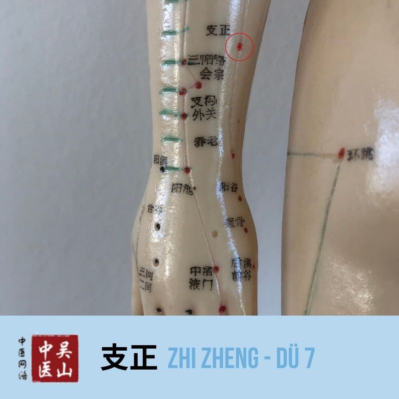 Zhi Zheng - Dünndarm 7